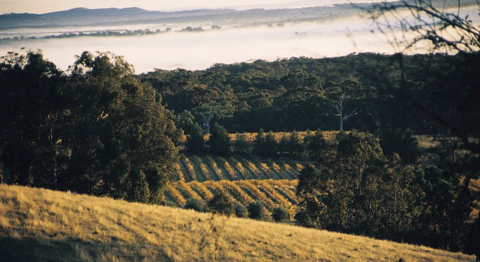 Image courtesy of Tourism Victoria