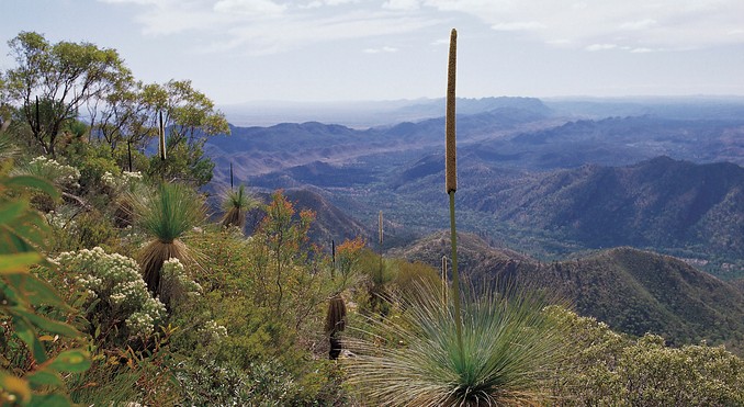 Image courtesy of South Australia