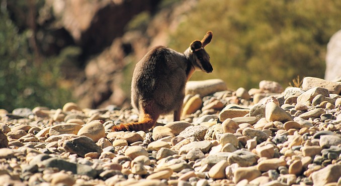 Image courtesy of South Australia