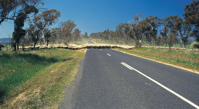 North Sullivan 1990