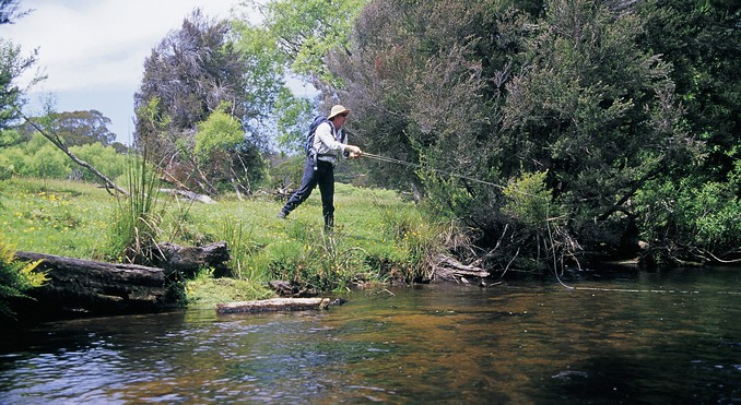 Tourism Tasmania and Neil Grose