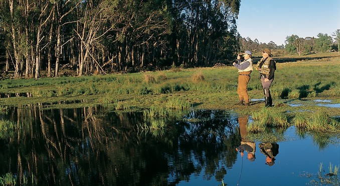 Tourism Tasmania and Dennis Harding