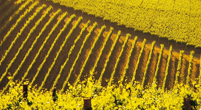 Image courtesy of South Australia