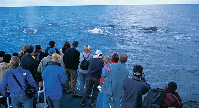 Image courtesy of Western Australia