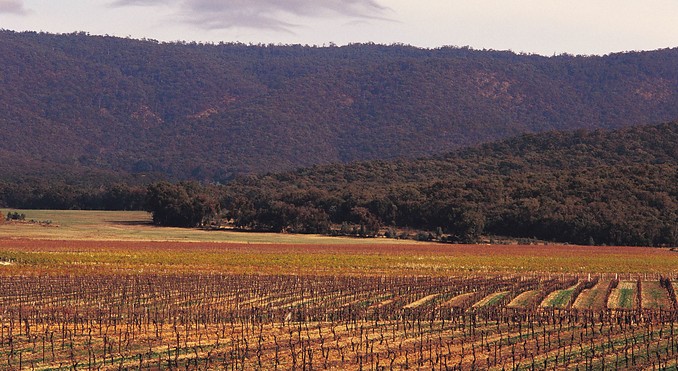 Image courtesy of Tourism Victoria