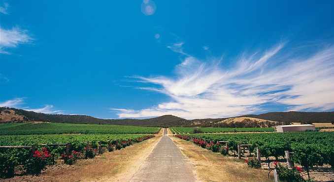 Image courtesy of Tourism Victoria