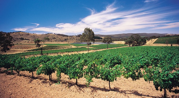Image courtesy of Tourism Victoria