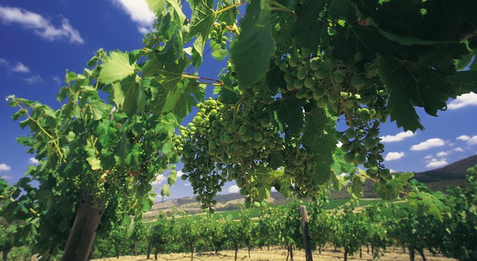 Image courtesy of Tourism Victoria