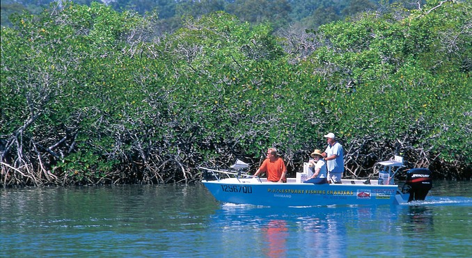 Image courtesy of Tourism Queensland