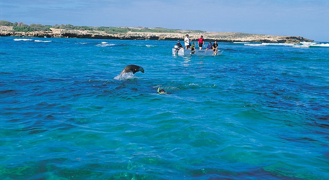 Image courtesy of South Australia