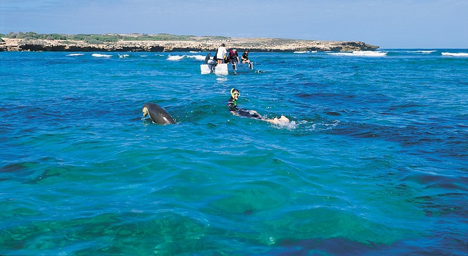 Image courtesy of South Australia