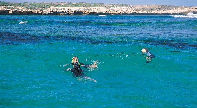 Image courtesy of South Australia