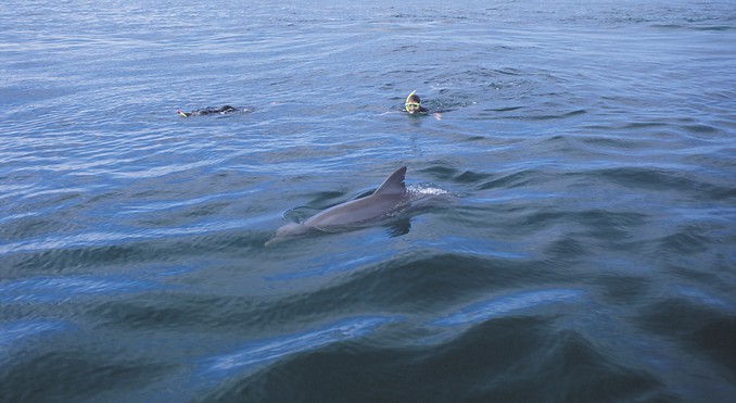 Image courtesy of South Australia