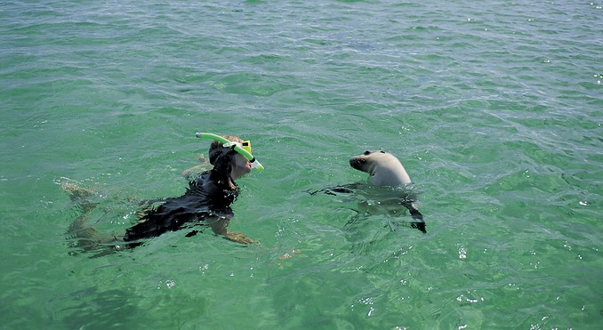 Image courtesy of South Australia