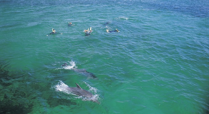 Image courtesy of South Australia