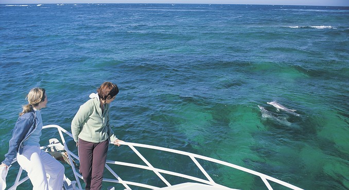 Image courtesy of South Australia