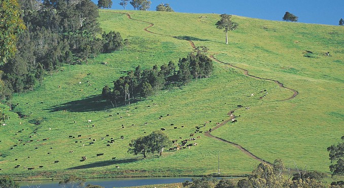 Image courtesy of Western Australia