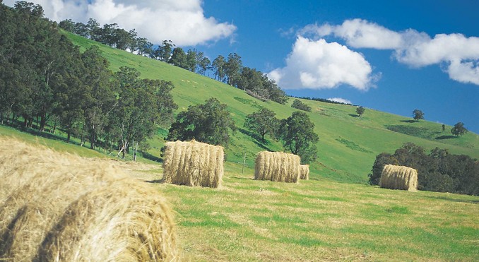 Image courtesy of Western Australia