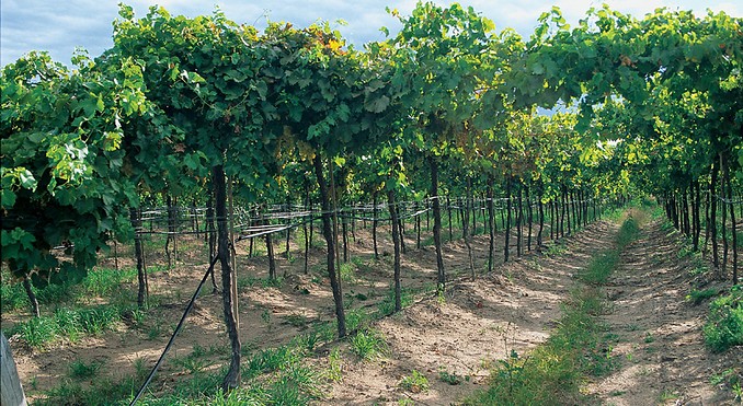 Image courtesy of Tourism Queensland