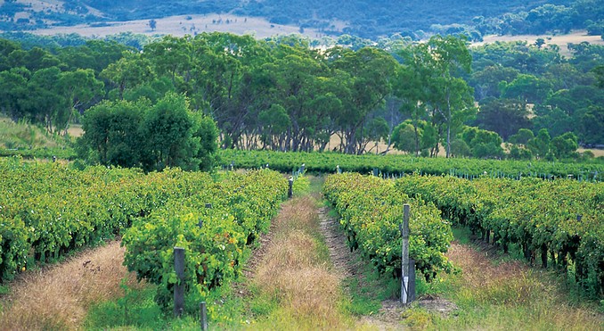 Image courtesy of Tourism Queensland