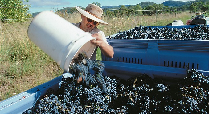 Image courtesy of Tourism Queensland