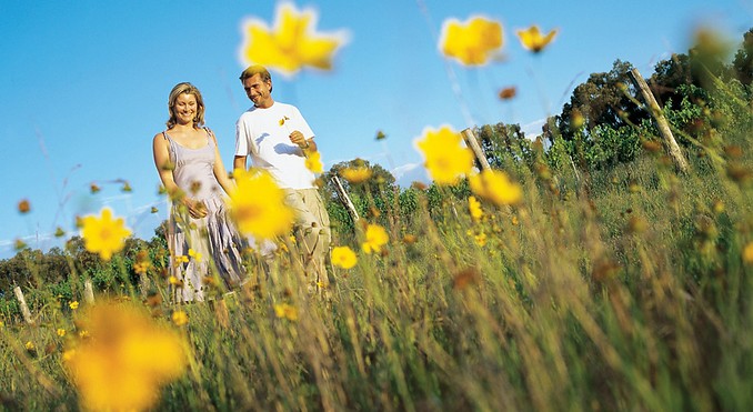 Image courtesy of Tourism Queensland