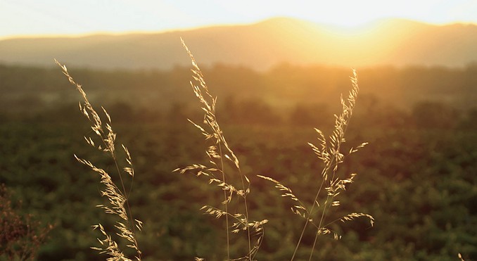 Image courtesy of Tourism Queensland