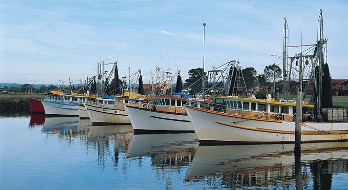 Ballina