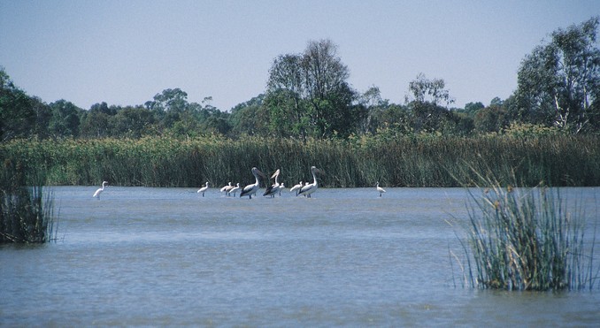Image courtesy of Tourism Victoria