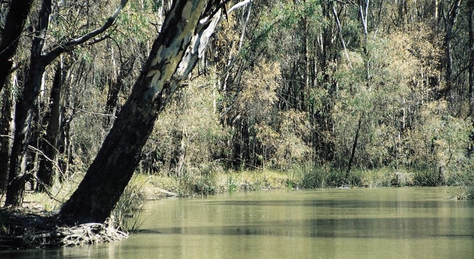 Image courtesy of Tourism Victoria