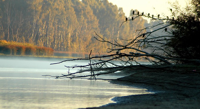 Image courtesy of Tourism Victoria