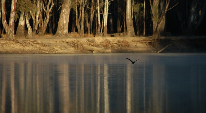 Image courtesy of Tourism Victoria