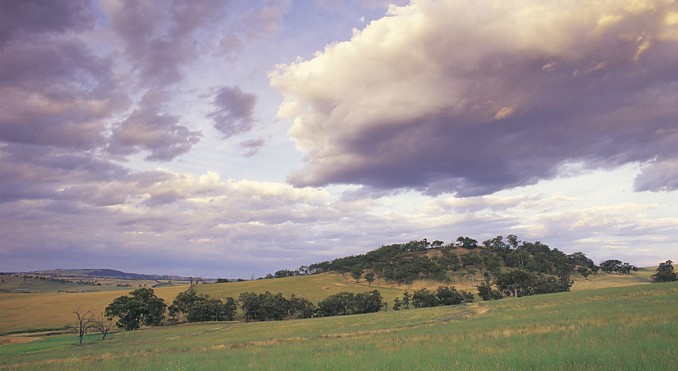Image courtesy of Tourism New South Wales