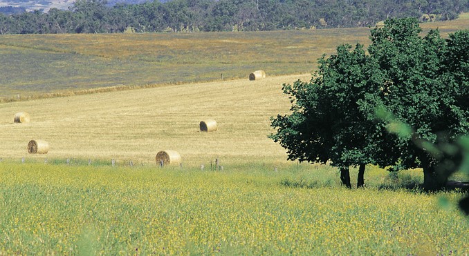 Image courtesy of Tourism New South Wales