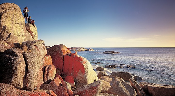 Tourism Tasmania and George Apostolidis