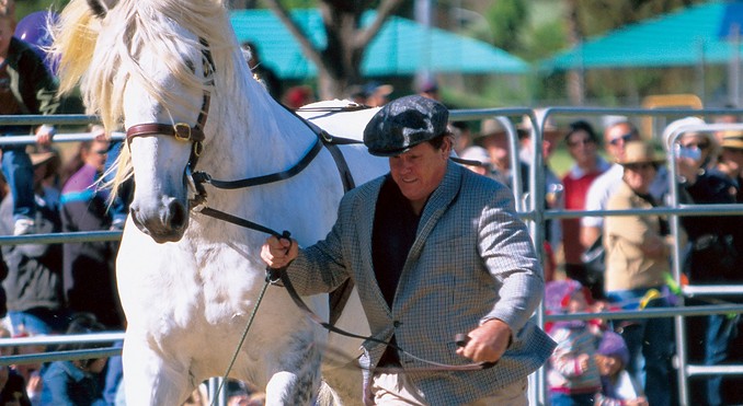 Image courtesy of Tourism Queensland
