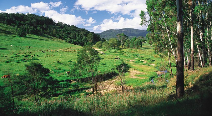 Image courtesy of Tourism New South Wales