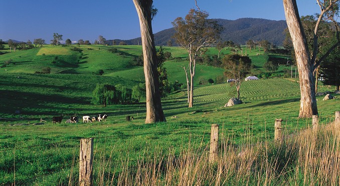 Image courtesy of Tourism New South Wales