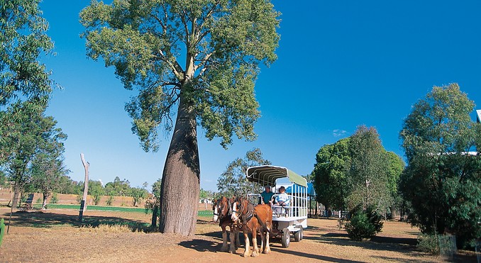 Image courtesy of Tourism Queensland