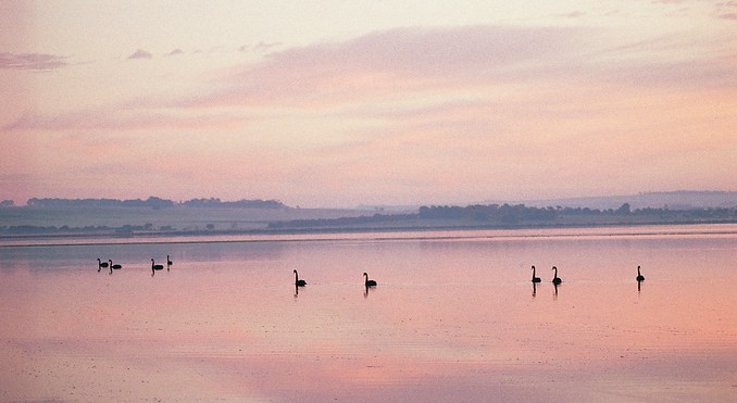 Image courtesy of Tourism Victoria