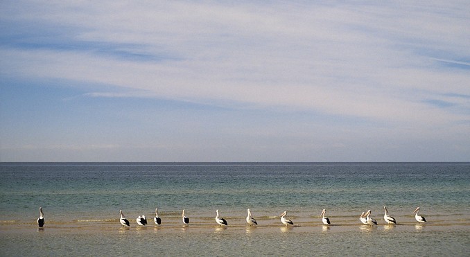 Image courtesy of Tourism Victoria