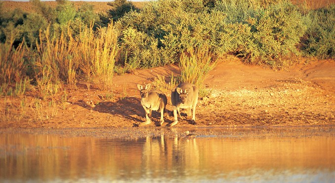 Image courtesy of South Australia