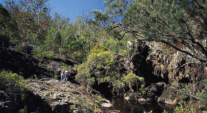 Image courtesy of Tourism Queensland