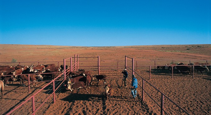 Image courtesy of Tourism Queensland
