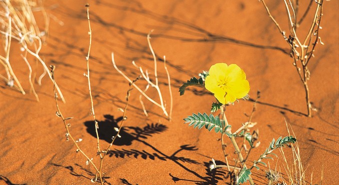 Image courtesy of Tourism Queensland