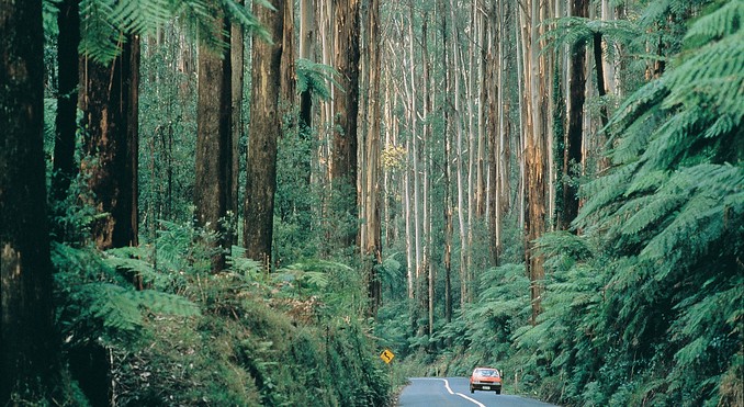 Image courtesy of Tourism Victoria