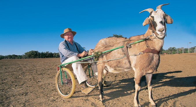 Image courtesy of Tourism Queensland
