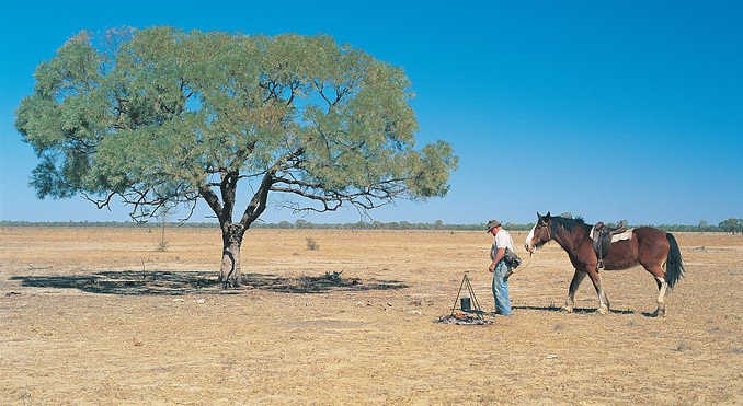 Image courtesy of Tourism Queensland