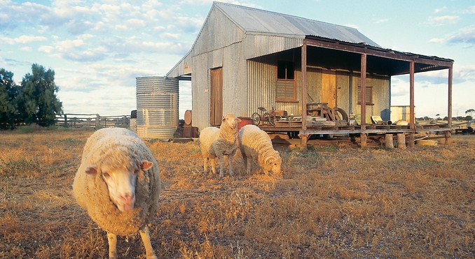 Image courtesy of Tourism Queensland