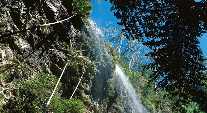 Image courtesy of Tourism Queensland